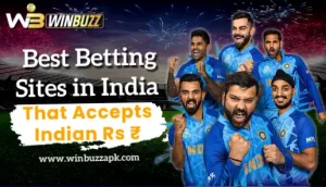 Read more about the article Best Betting Sites in India that accepts Indian Rupees!