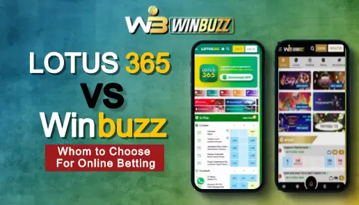You are currently viewing Winbuzz vs Lotus365: whom to choose for online betting ?